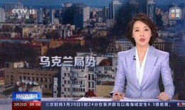 乌克兰村长爆料新闻视频,揭秘战火中的真实生活