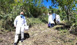 巫山最爆料新闻官阳镇,阳镇新闻热点盘点