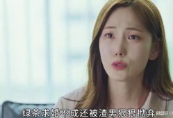 韩剧完美搭档在线观看,甜蜜互动，职场爱情大作战！