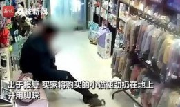 广州探店爆料事件视频,揭秘网红美食背后的真相