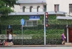 广西新闻网爆料,揭秘重大事件背后真相