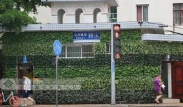 广西新闻网爆料,揭秘重大事件背后真相