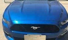 野马土耳其在线观看,土耳其在线观影之旅