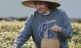 爆料林生斌视频号,一场关于爱与真相的较量