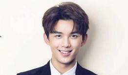 娱乐吃瓜君石头男星,娱乐吃瓜君揭秘娱乐圈神秘石头男星背后的故事