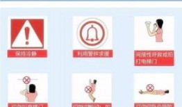 荔浦头条最新爆料,重大事件背后真相揭晓！