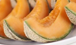哈密瓜怎么免费吃,揭秘免费品尝哈密瓜的秘诀之旅