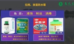 四季代餐爆料怎么做的视频,跟随视频轻松学会四季代餐制作