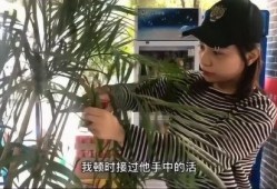 爆料大少爷是谁啊视频,视频背后的神秘人物