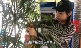 爆料大少爷是谁啊视频,视频背后的神秘人物