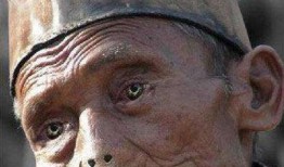 人曾杂交在线观看,揭秘人类进化史上的神秘篇章