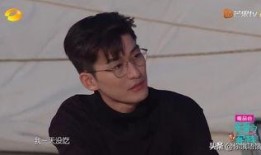 吴磊爆料张翰视频,背后真相引发热议