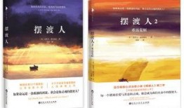 摆渡人小说在线观看,跨越生死界限的感人之旅