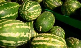 静安网红吃瓜事件视频,一场网络狂欢背后的真相揭秘