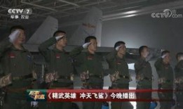 飞行员真实爆料视频大全,真实爆料视频大全背后的惊心动魄瞬间