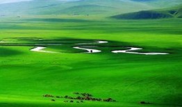 大草原在线观看,在线领略广袤草原的壮美画卷