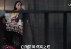 多多姐爆料十三视频,十三视频背后的惊人真相