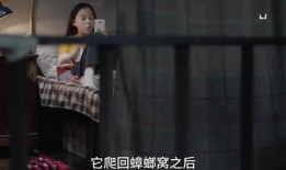 多多姐爆料十三视频,十三视频背后的惊人真相