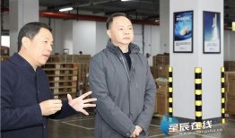 郑建新前妻爆料视频在线观看,揭秘婚姻内幕与情感纠葛