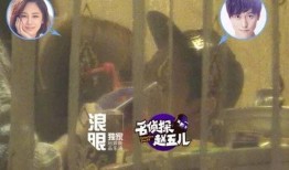 杨紫恋爱爆料视频,甜蜜瞬间引网友热议