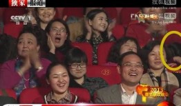 相声班主被爆料视频大全,视频爆料背后的真相与争议