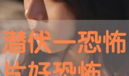 潜伏电视剧手机在线观看,揭秘谍战风云，重温经典谍战传奇
