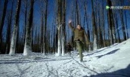 黄皮子坡在线观看