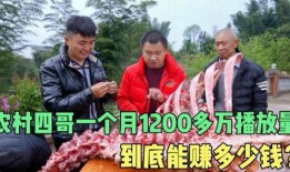 农民二哥爆料视频大全,揭秘农村生活百态