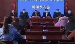 临夏爆料新闻视频,视频揭露惊人真相，引发社会关注