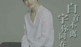 娱乐圈爆料白宇,娱乐圈风云再起，神秘事件引发热议