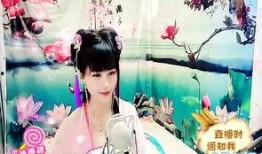 元芳最新爆料视频,神秘事件背后真相揭晓