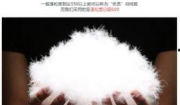 雅鹿官方最新爆料,官方最新爆料揭示时尚潮流新趋势