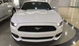 野马土耳其在线观看,土耳其在线观影之旅