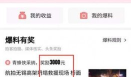 头条爆料的视频怎么撤回,揭秘撤回操作全过程
