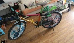 自行车新配件爆料视频,颠覆传统骑行体验的革新之作