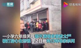 常州小学生爆料案件视频,揭开校园安全隐秘一角