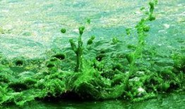 死水最新爆料,最新爆料揭露惊人内幕