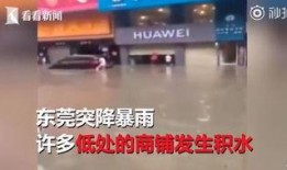 广州探店爆料事件视频,揭秘网红美食背后的真相