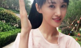 圈内爆料郑爽张嘉倪,揭秘娱乐圈背后的故事