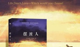 摆渡人小说在线观看,跨越生死界限的感人之旅