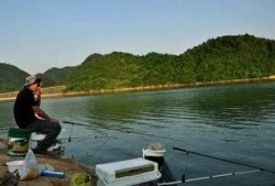 深圳钓鱼最新爆料,揭秘热门钓点与独家技巧分享