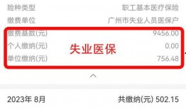 今日壹线爆料小程序下载,揭秘今日热点事件，深度解析下载背后的秘密