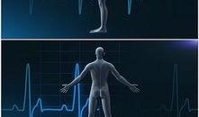 人体模型最新爆料视频网