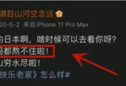 内鬼爆料的视频都是从哪来的,揭秘网络内幕的神秘渠道
