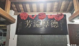 丰顺现场爆料视频最新,惊现惊人一幕，揭秘背后真相！