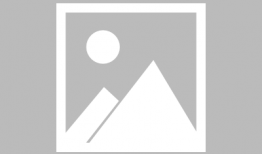 郑州员工爆料事件视频播放,揭露职场黑暗面