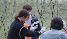 杨紫恋爱爆料视频,甜蜜瞬间引网友热议