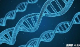 美国基因公司爆料新闻视频,揭秘美国基因研究黑幕