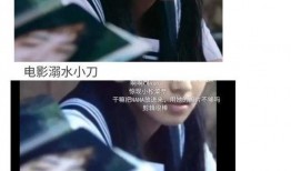 娱乐圈爽文吃瓜完结了吗