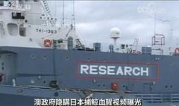 日本人捕鲸爆料视频播放,日本捕鲸内幕曝光视频引发全球关注
